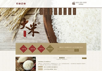 谷類(lèi)大米農(nóng)作物農(nóng)業(yè)網(wǎng)站織夢(mèng)模板(帶手機(jī)端)