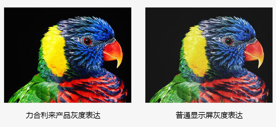 P2.5小間距led顯示屏 P2.5小間距led顯示屏