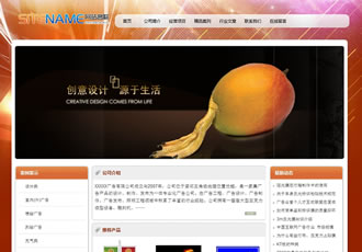 創意廣告設計產品包裝設計圖案設計建站