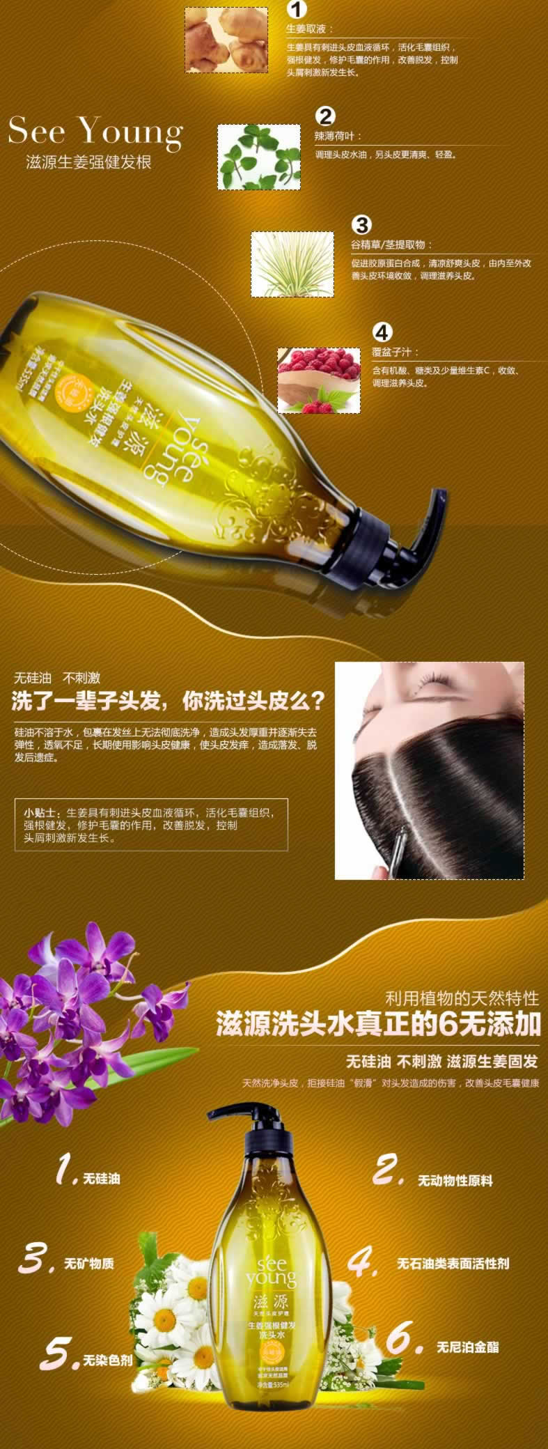 天然無硅油洗頭水生姜固發根洗發露描述